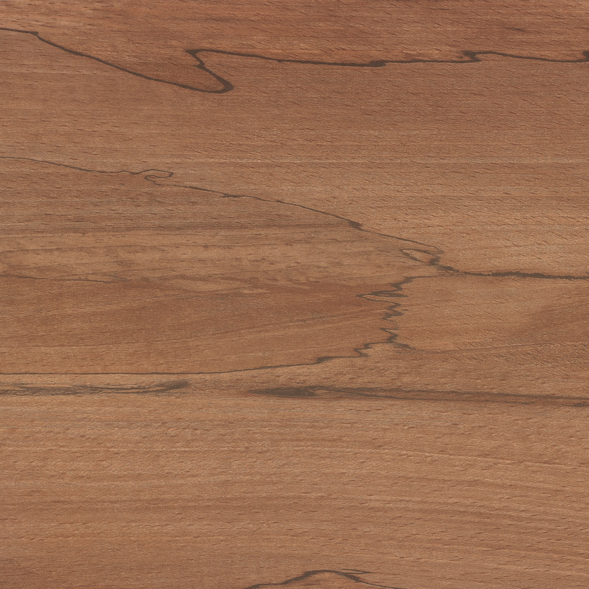 Australian Native Woodmatt (Textured)